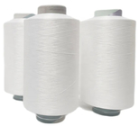 Eco - Friendly Dyed Nylon Yarn Z Twist 100D / 2 High Tenacity For Knitting