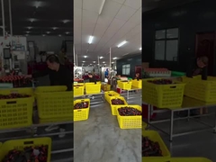 Polyester Sewing Thread