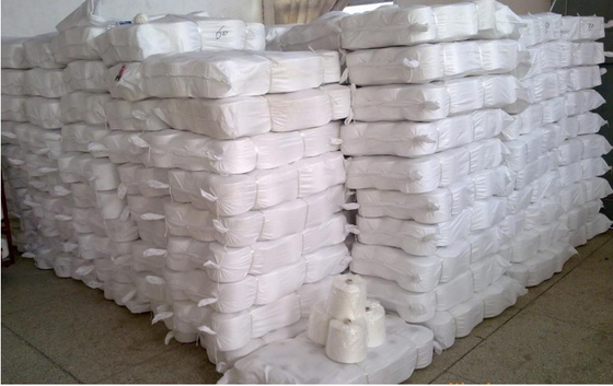 Raw white 20/2 30/2 40/2 50/2 60/2 Sewing 100% Polyester Ring Spun Yarn Price
