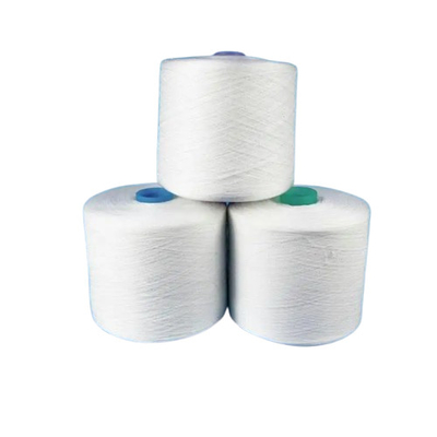 20S/2 20S/3 40S/2 Raw White 100% Polyester Spun Yarn